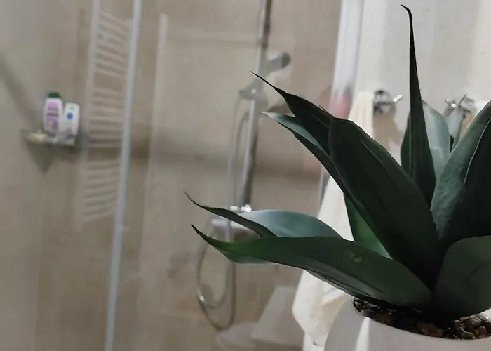 Luka * Banja Koviljača